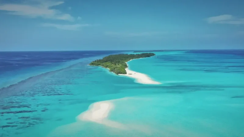 Private Sandbank Tours – Nearby sandbanks(3)