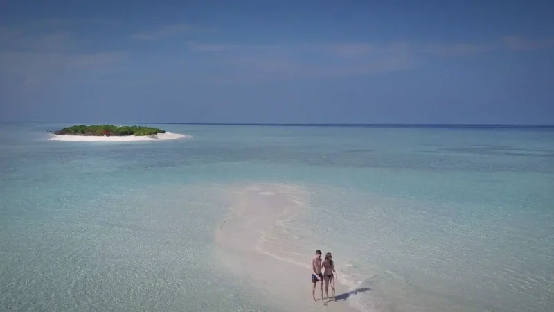 Private Sandbank Trip – Nearby sandbank(6)