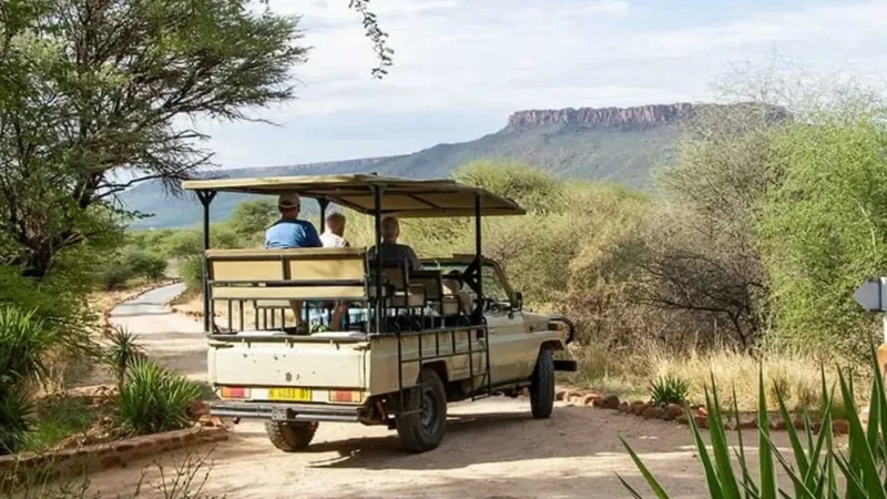Private_Game_Reserves_тАУ_Safari_experiences_06