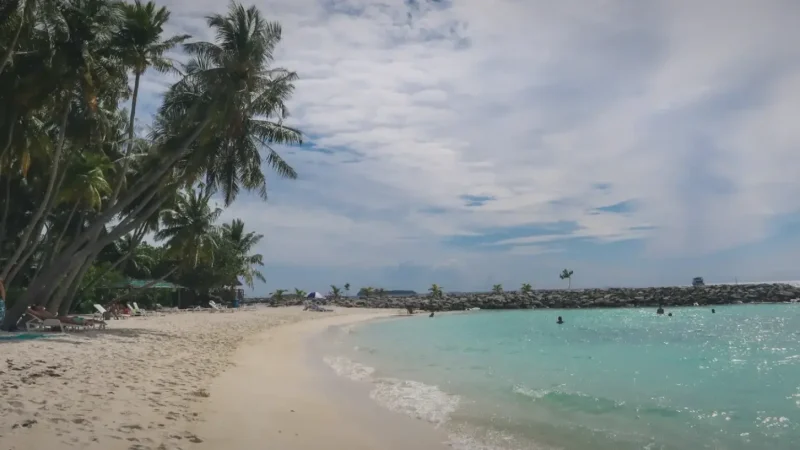 Public Beach(1)