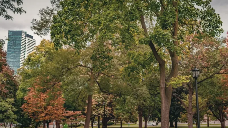 Queen’s Park – Legislative park & lawns(6)