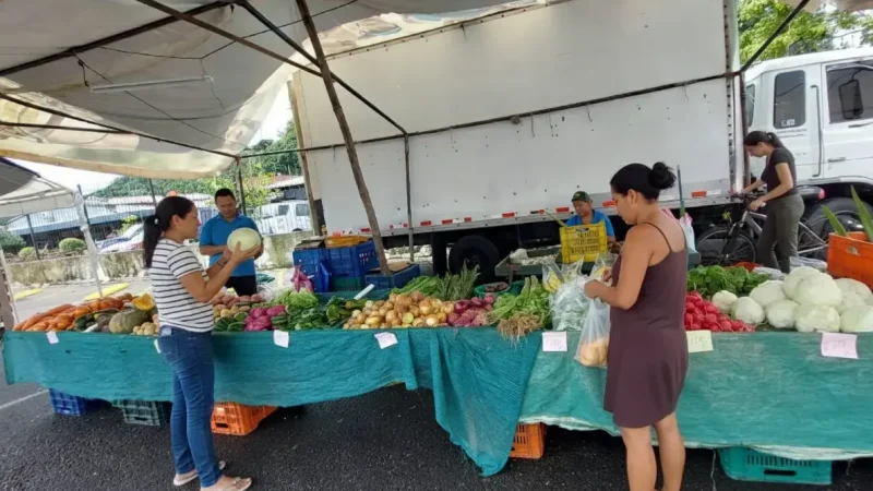 Quepos_Farmers_Market 02