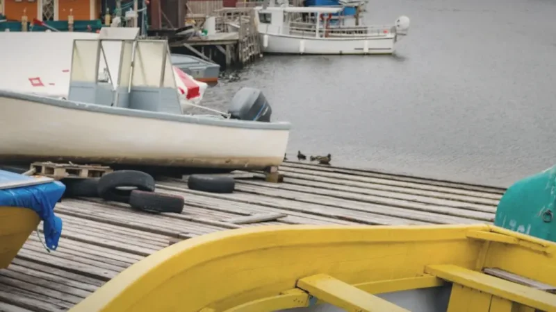 Quidi Vidi Village – Traditional fishing village(5)