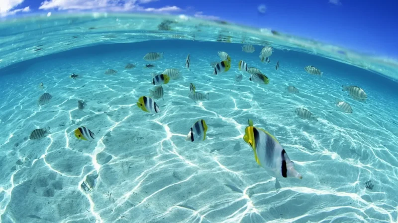 Quiet Beach Corners – Less Crowded Spots(4)