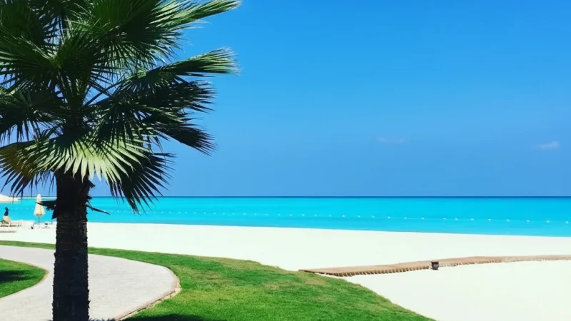 Quiet Beach Corners – Peaceful relaxation spots(5)