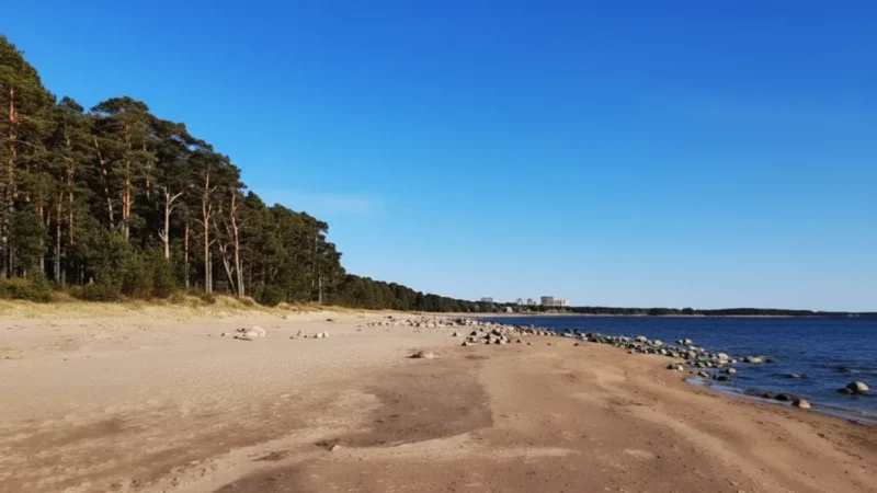 Quiet Beach Sections(1)