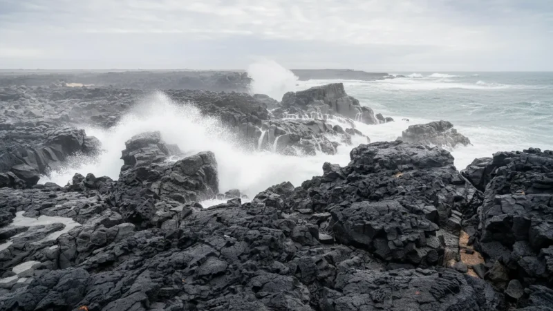 Quiet Coastal Picnic Spots(4)