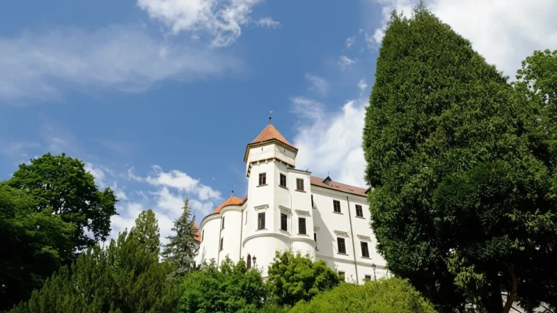 Quiet Evening Walks – Peaceful Atmosphere(4)