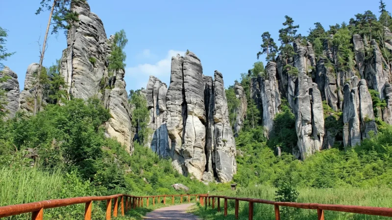 Quiet Forest Walks – Peaceful surroundings(3)