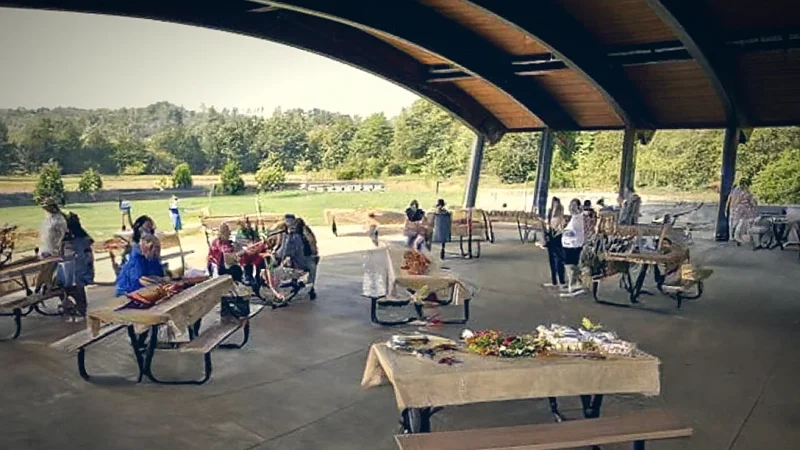 Quiet Picnic Lawns(1)