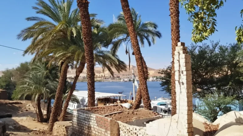 Quiet Residential Corners – Calm Island Life(5)