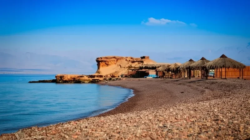 Quiet Rest Areas – Calm Visitor Spaces(4)