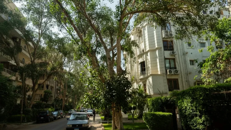 Quiet Rest Corners – Calm Spots Around the Museum(4)