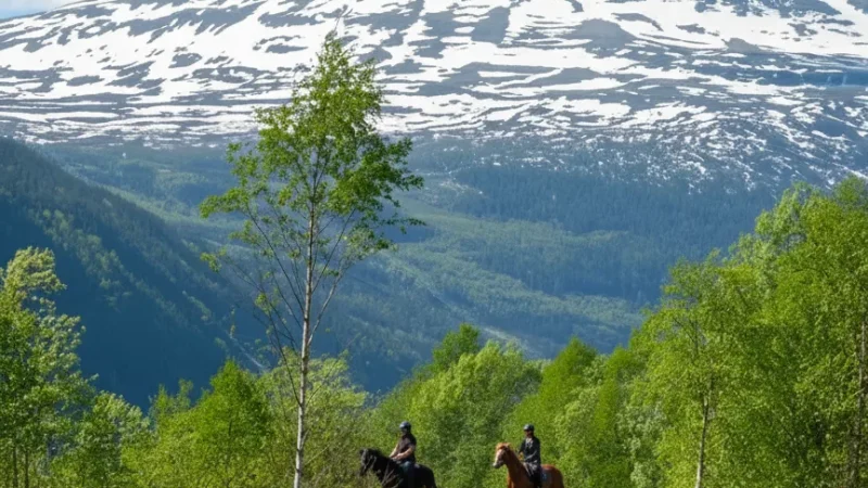 Quiet Valley Corners – Peaceful Surroundings(4)