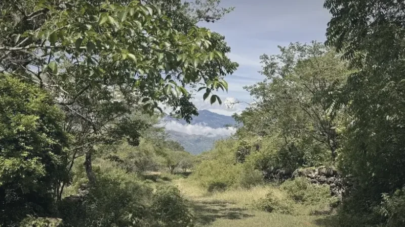 Quiet Walking Routes – Peaceful strolls(6)