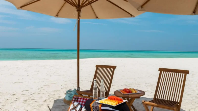 Quiet_Picnic_Areas_–_Peaceful_seaside_corners__01