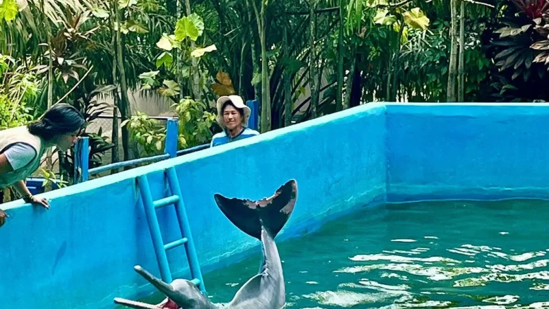 Quistococha_Zoo_–_Wildlife_and_recreation_area__04