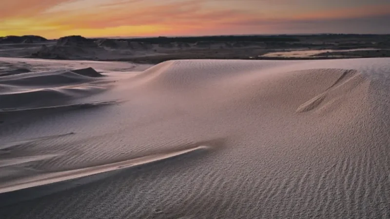 Råbjerg Mile – Moving sand dune(3)