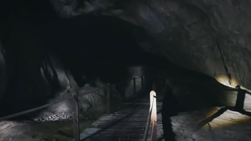 Racer Cave(6)