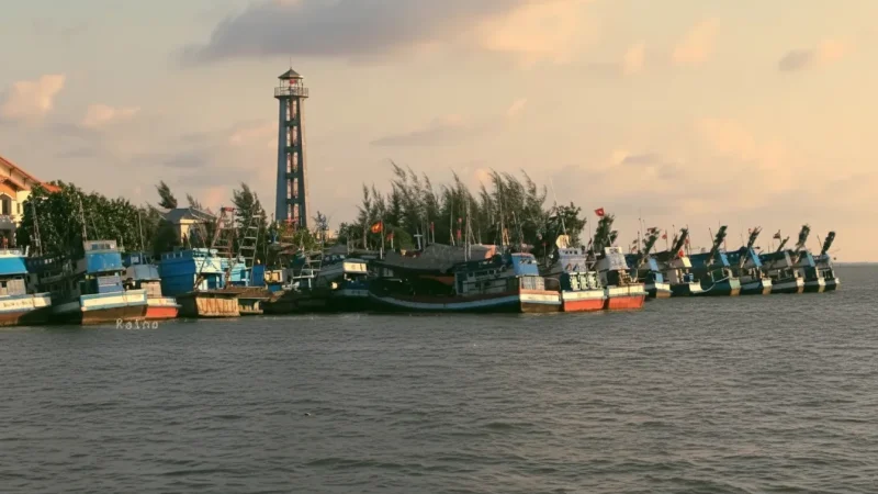 Rạch Giá Fishing Harbor – Local Fishing Culture(4)