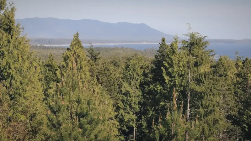 Radar Hill – Elevated viewpoint(3)