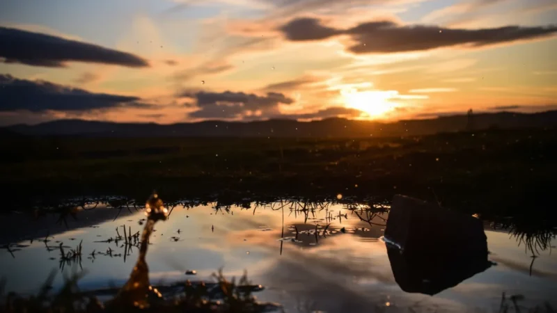 Radbuza River – Riverside Walking Paths(4)