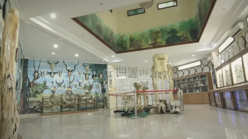 Rahmat International Wildlife Museum & Gallery(2)