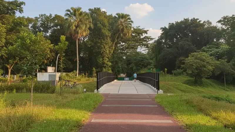 Rail Corridor (Hillview Section)(1)