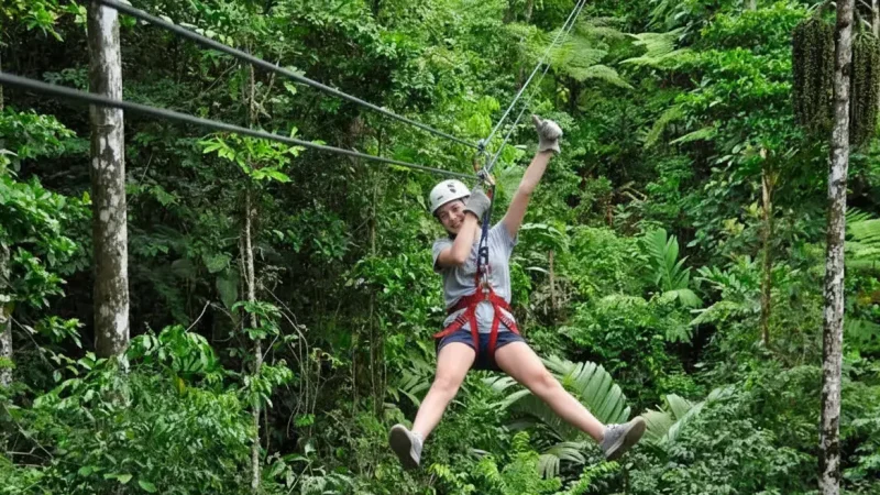 Rainforest Canopy Tours 03