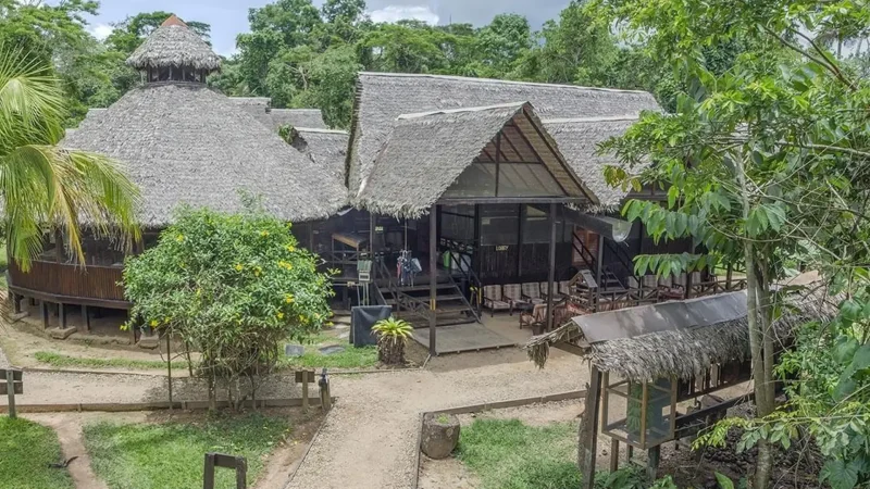 Rainforest_Lodges_–_Guided_jungle_experiences__02