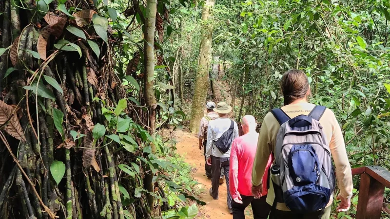 Rainforest_Trails_–_Guided_walking_paths__02