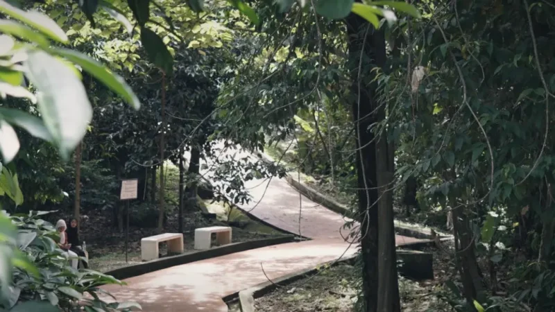 Raintree Walk KLCC(6)