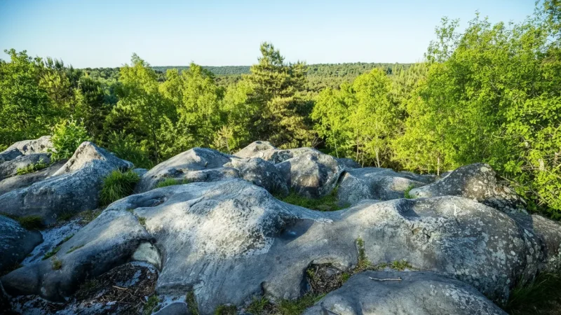 Rambouillet Forest – Nature trails and scenic landscapes(2)