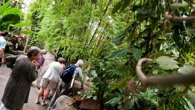 Randers_Tropical_Zoo_–_Indoor_rainforest_attraction__04