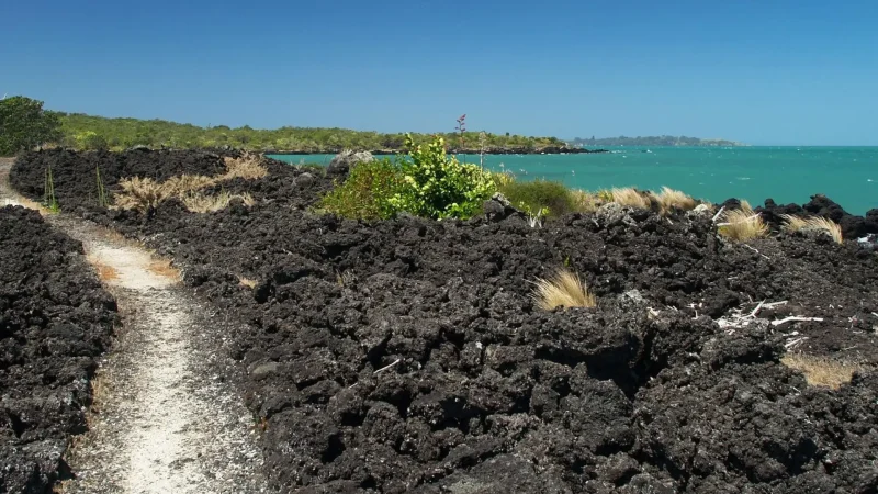 Rangitoto_Island_06