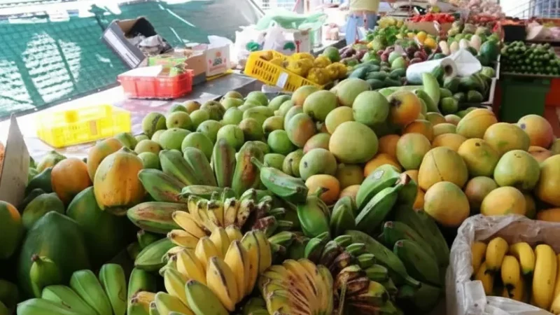 Rapid Creek Markets – Local food market(5)