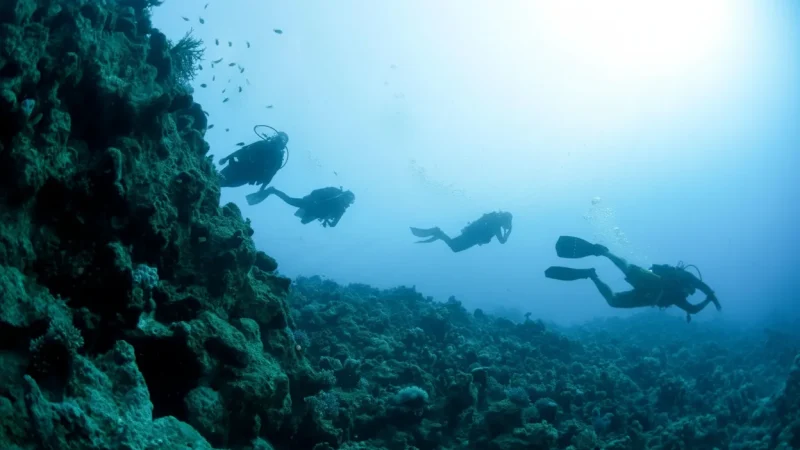 Ras Mohammed National Park – Protected Reef Area(3)