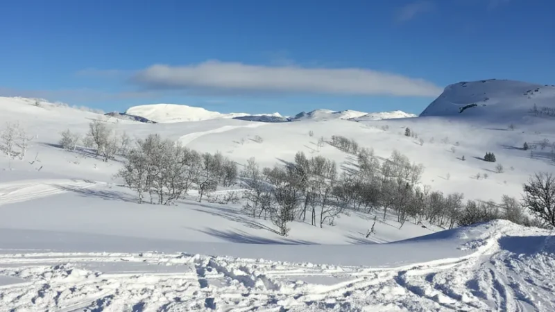 Rauland – Mountain village(5)