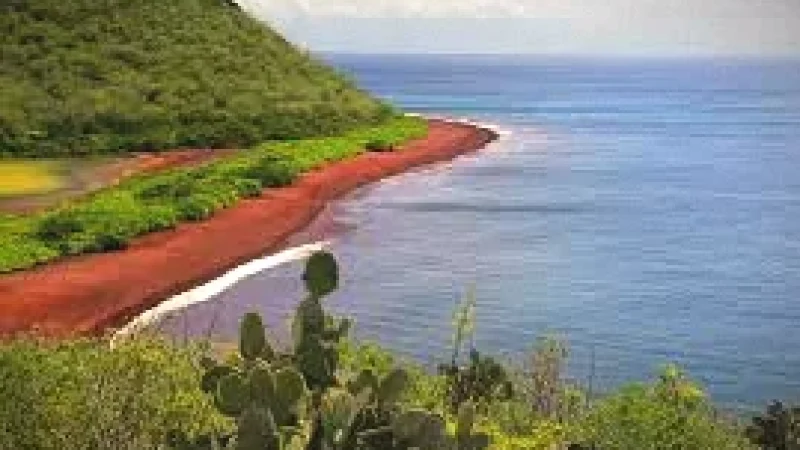 Red Beach – A unique red-colored shoreline(4)