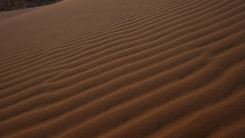 Red Sand Dunes – A beautiful area for sunset photography(4)