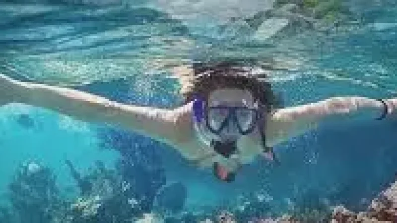 Reef Edge Snorkeling – A marine-rich shallow(1)