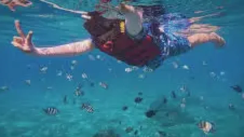 Reef Edge Snorkeling – A shallow marine-ri(1)