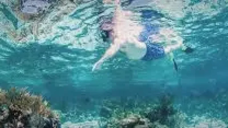Reef Edge Snorkeling – Marine-rich shallow(3)