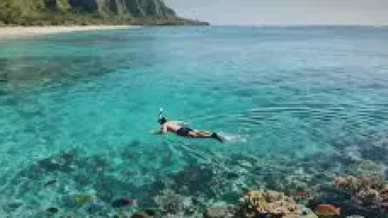 Reef Edge Snorkeling – Shallow marine area rich in(5)