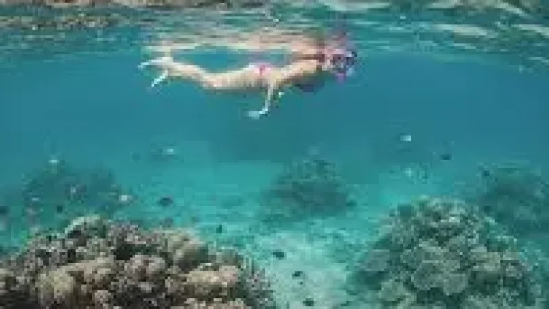 Reef Edge Snorkeling –(6)