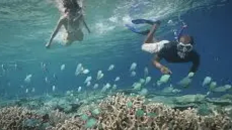 Reef Edge Snorkeling(1)