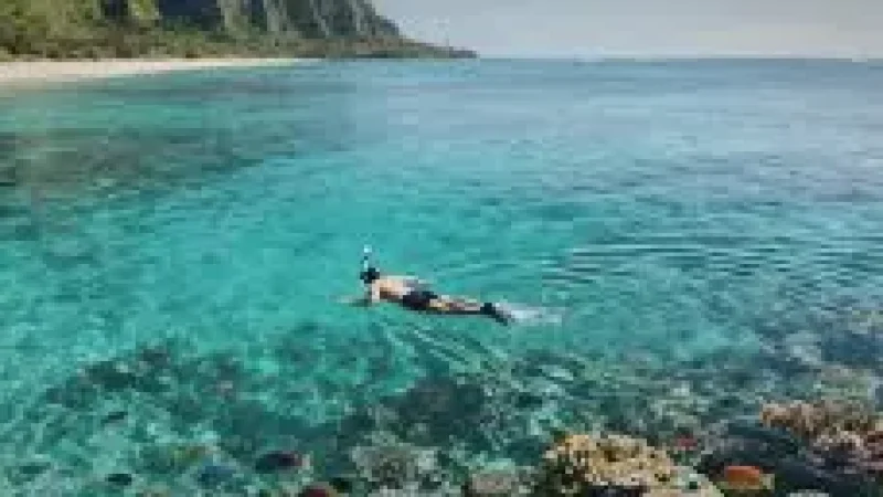 Reef Edge Snorkeling(1)