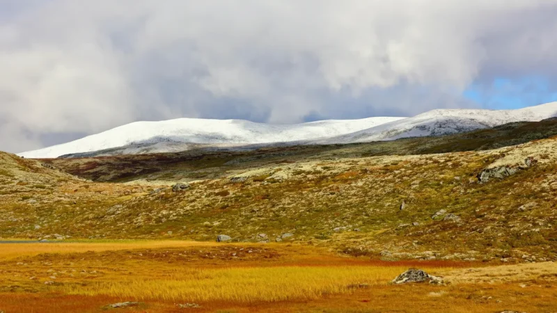 Remote Alpine Zones – Untouched mountain nature(5)