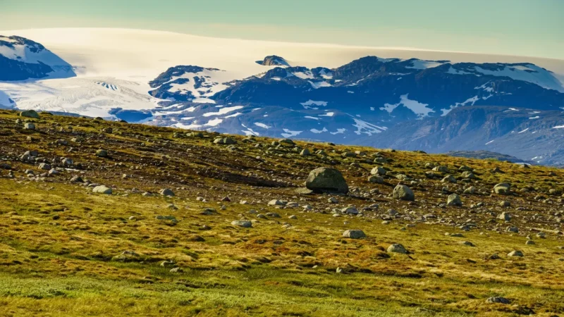 Remote Wilderness Zones – Silent Nature(5)