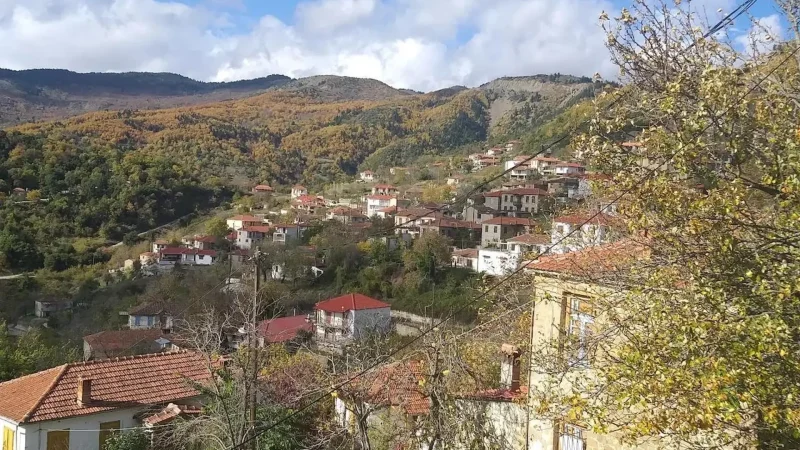 Rentina_02